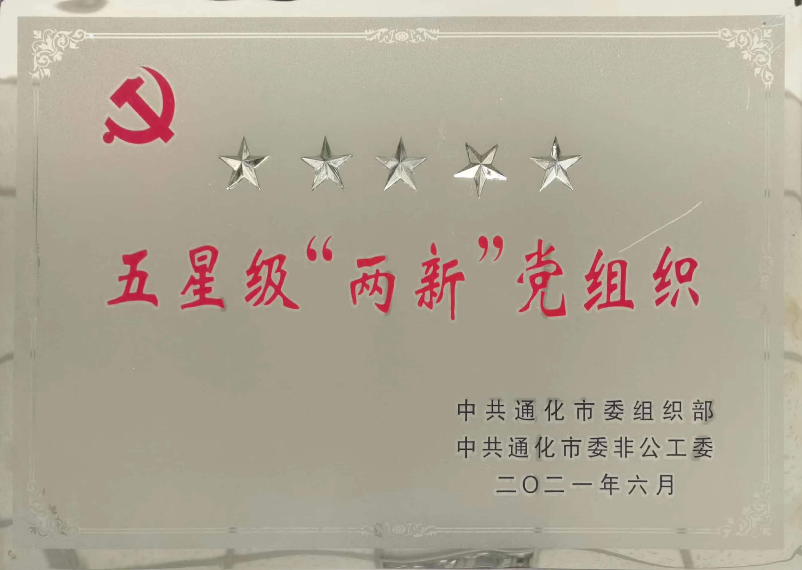 2021.6-五星級(jí)“兩新”黨組織 牌.jpg