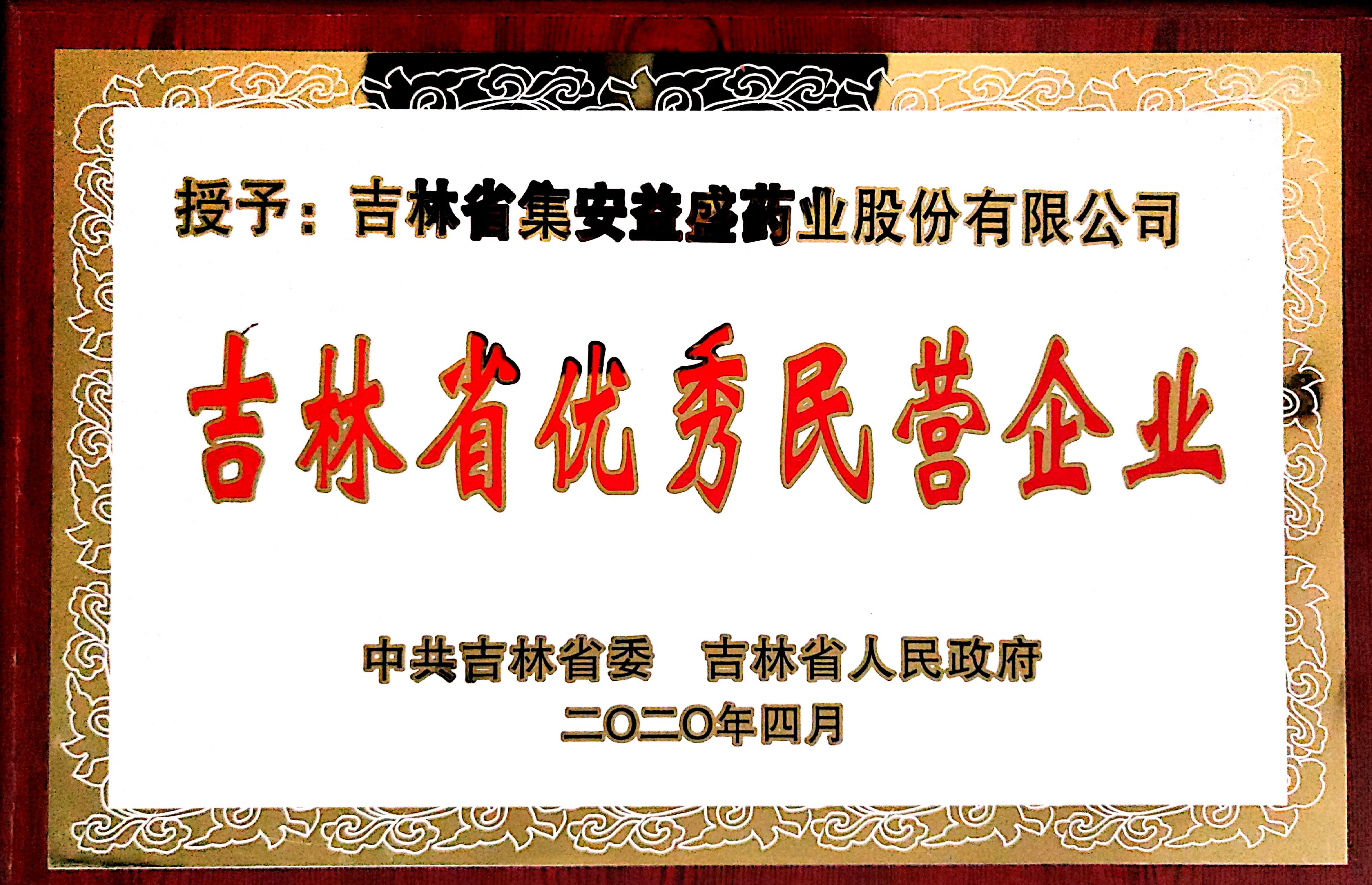 吉林省優(yōu)秀民營(yíng)企業(yè).jpg